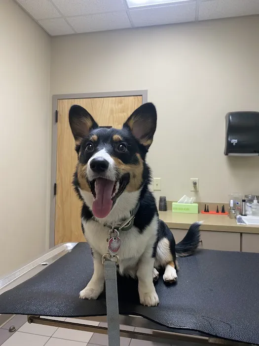 Chenango Animal Hospital 7