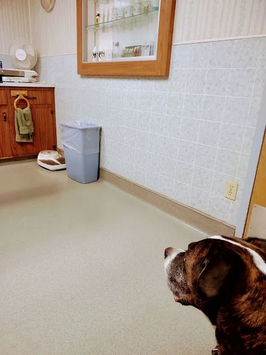 Allen Veterinary Hospital 2
