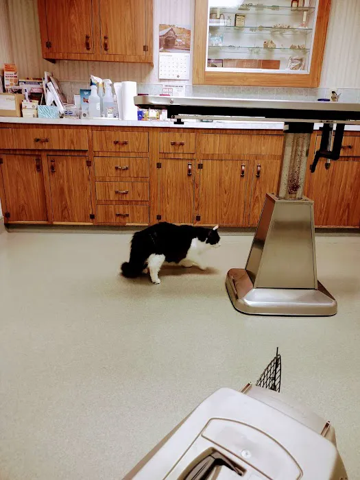 Allen Veterinary Hospital 5