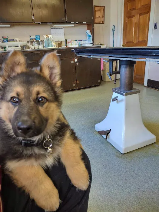 Allen Veterinary Hospital 3