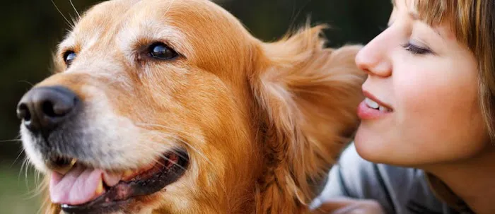 North Paw Animal Hospital 12