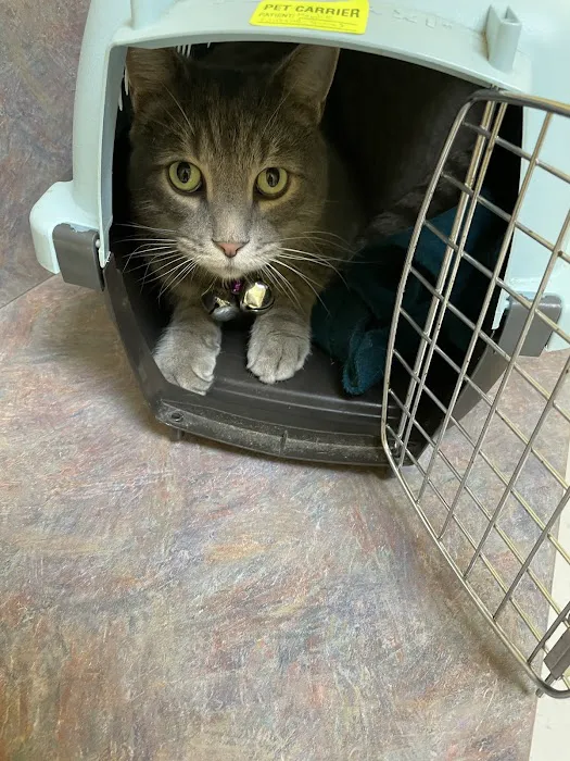North Paw Animal Hospital 12