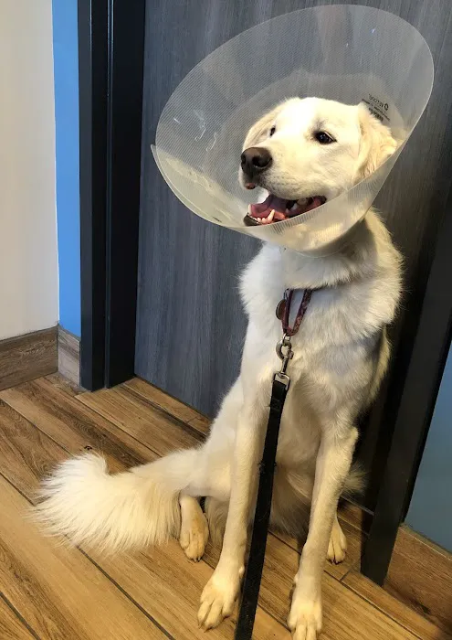 Eno Animal Hospital 12
