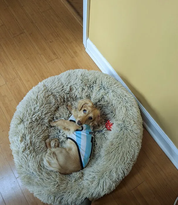 Banfield Pet Hospital 12