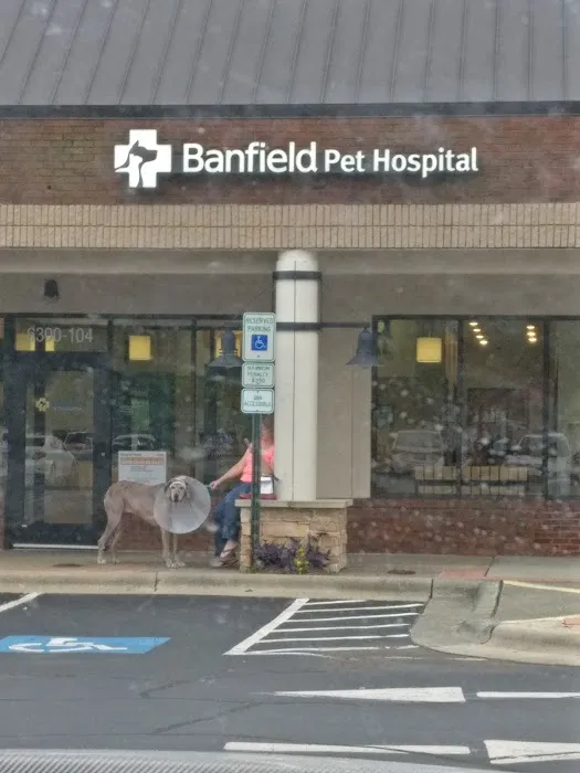 Banfield Pet Hospital 12