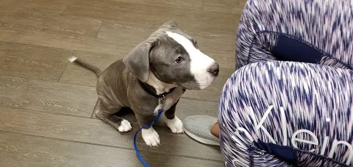Banfield Pet Hospital 12