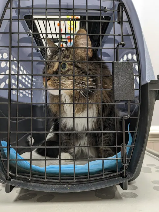 Leesville Animal Hospital PA 12