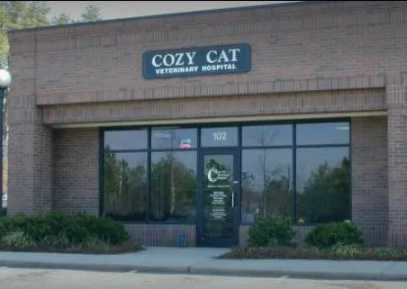 Cozy Cat Veterinary Hospital 12