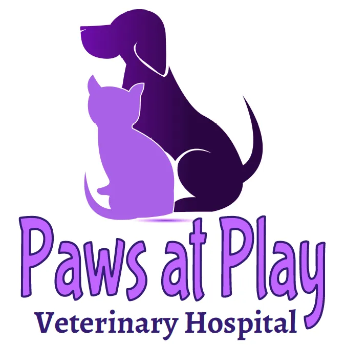Paws At Play Veterinary Hospital 12