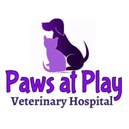 Paws At Play Veterinary Hospital 12