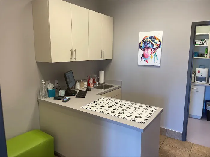 New Light Animal Hospital 4