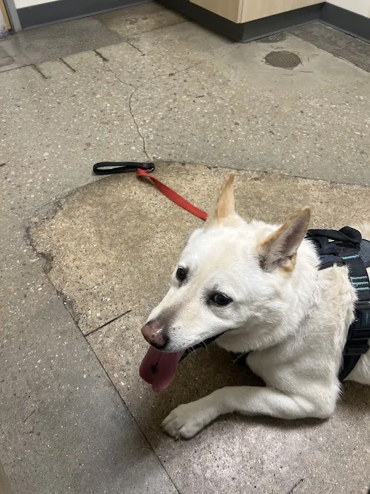 Vetco Total Care Animal Hospital 2