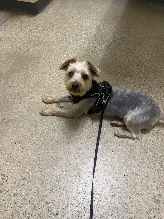 Vetco Total Care Animal Hospital 10