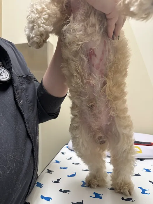 Vetco Total Care Animal Hospital 9