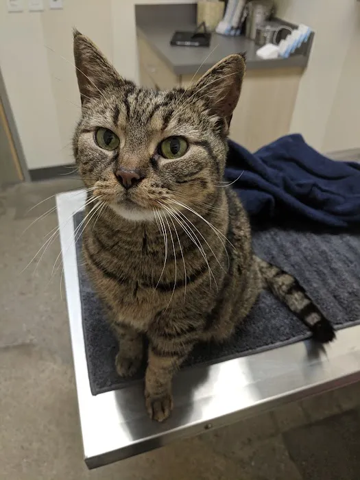 Vetco Total Care Animal Hospital 8