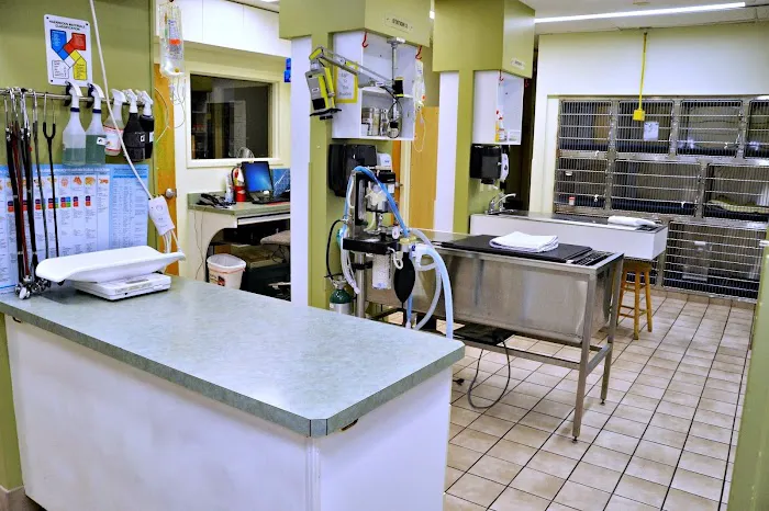 Bowman Animal Hospital and Cat Clinic Inc 12