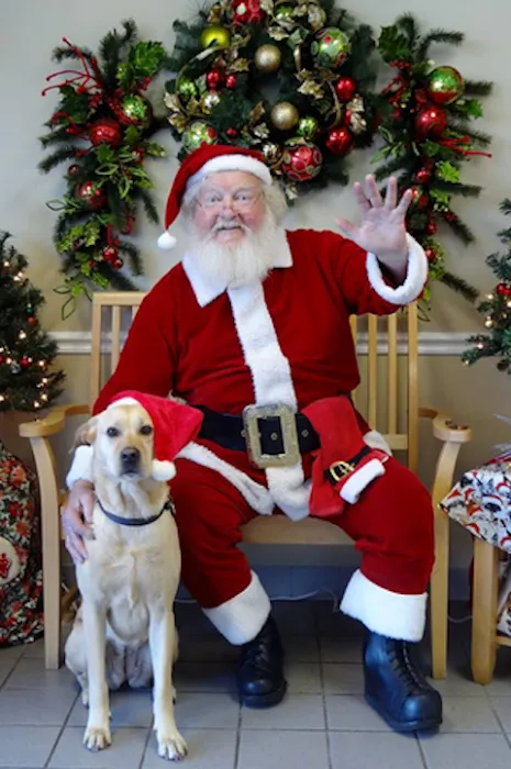 Hidden Valley Animal Hospital 10