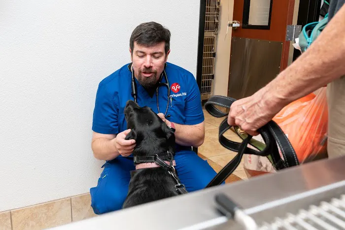 PetSmart Veterinary Services - Garner 7