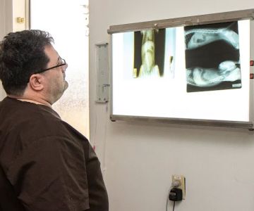 Ansede Animal Hospital