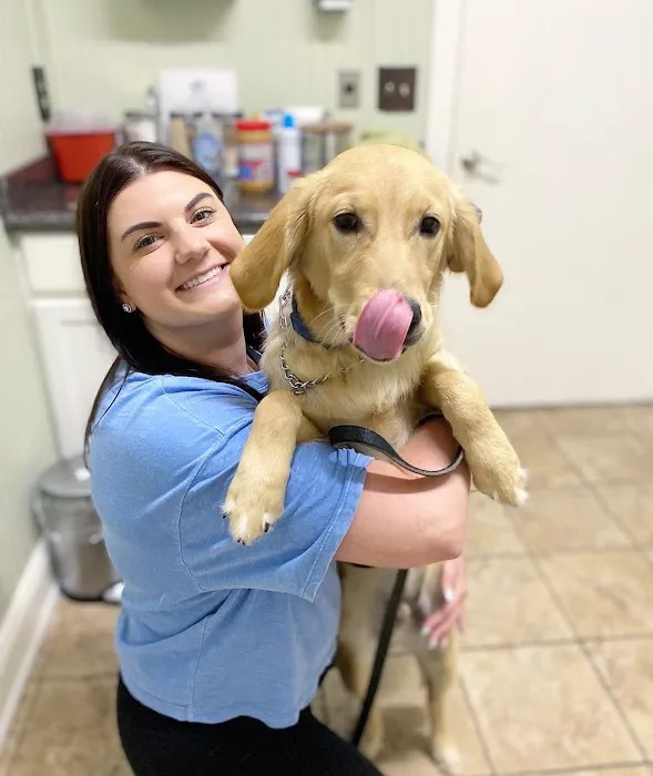 Creedmoor Road Animal Hospital 2