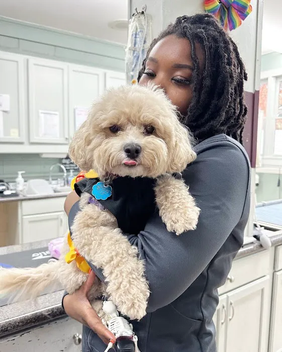 Creedmoor Road Animal Hospital 10