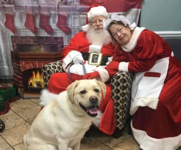 Creedmoor Road Animal Hospital