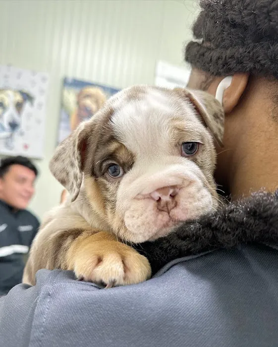 Creedmoor Road Animal Hospital 3