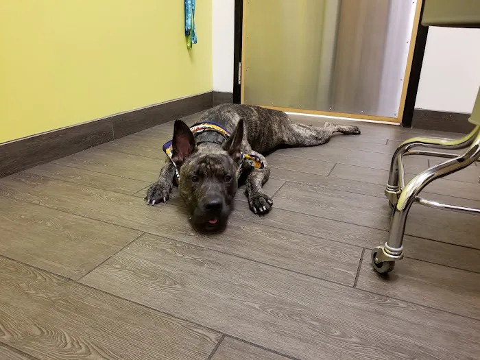 Banfield Pet Hospital 6