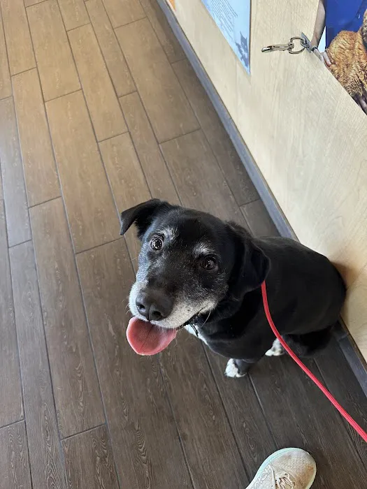 Banfield Pet Hospital 1