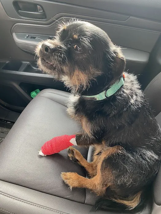 Banfield Pet Hospital 7