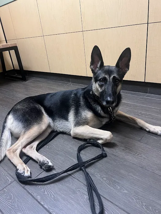 Banfield Pet Hospital 4