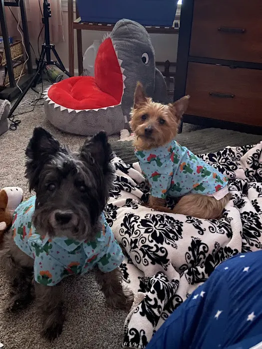 North Raleigh Mobile Vet - Euthanasia in Home Service 7