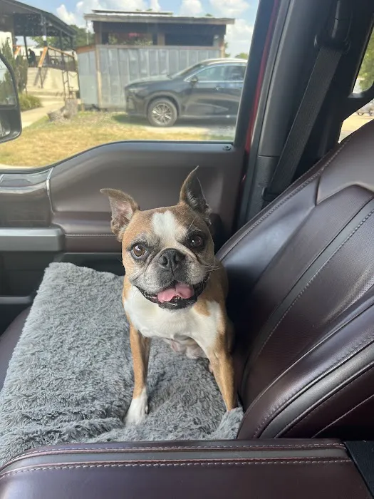 North Raleigh Mobile Vet - Euthanasia in Home Service 6