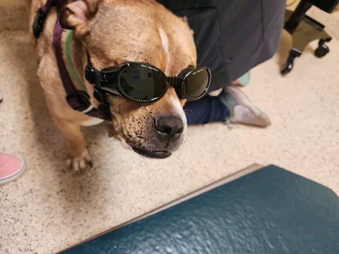 North Star Veterinary Hospital 12