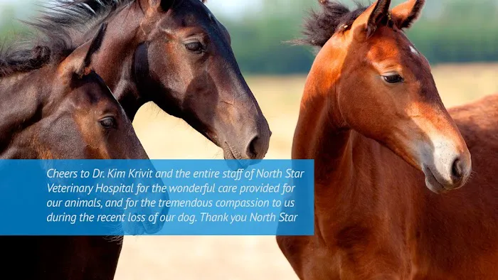 North Star Veterinary Hospital 12