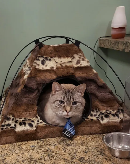 North Star Veterinary Hospital 12