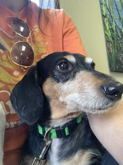 Cypress Lakes Animal Hospital 8