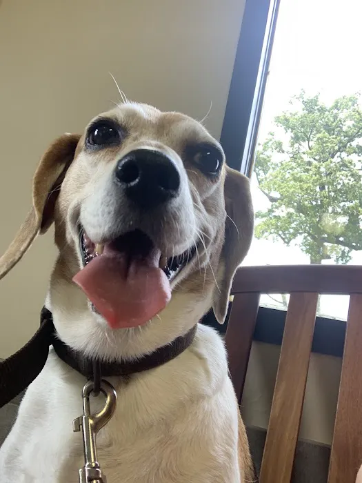Cypress Lakes Animal Hospital 4