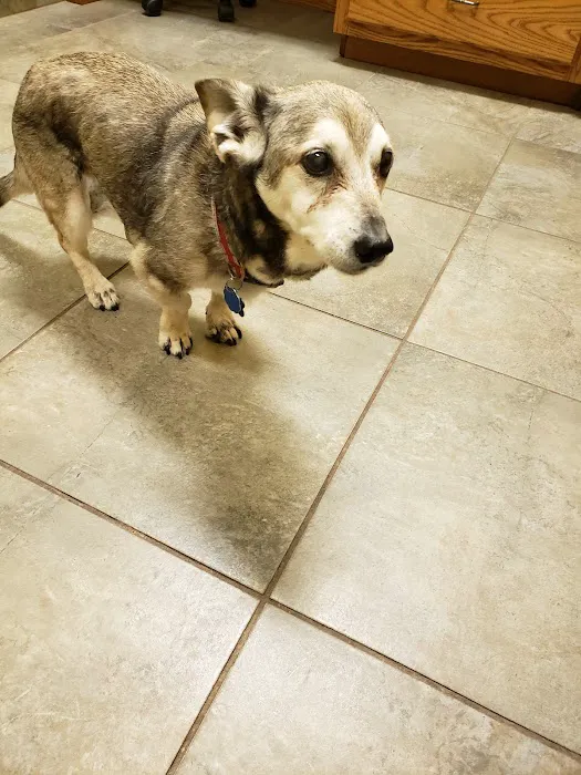 Cypress Lakes Animal Hospital 5