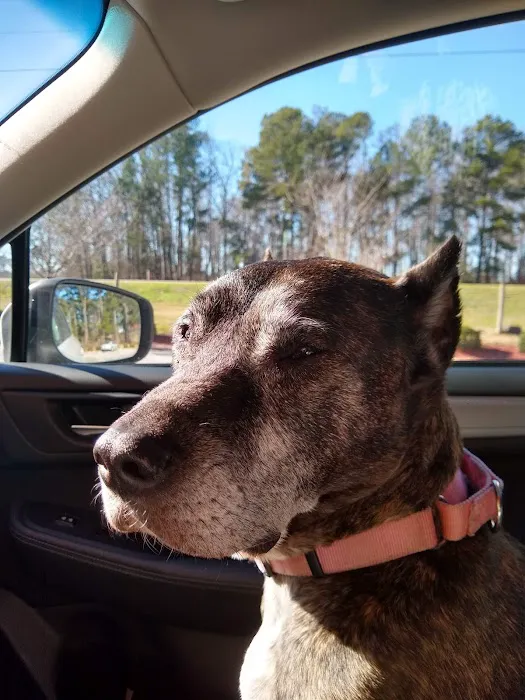 Cypress Lakes Animal Hospital 7