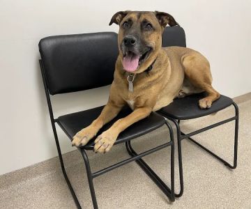 Riverwood Veterinary Clinic
