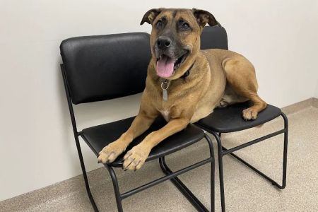 Riverwood Veterinary Clinic