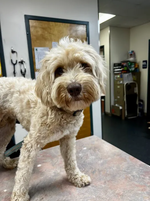 Plantation Park Animal Hospital 12