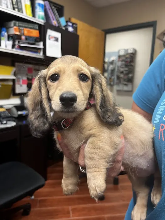 Plantation Park Animal Hospital 12