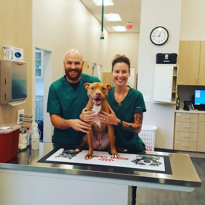 Oak Heart Veterinary Hospital & Emergency at South Saunders 6