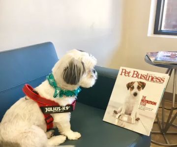 Oak Heart Veterinary Hospital at Longview