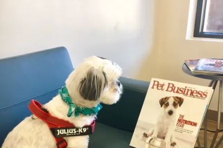 Oak Heart Veterinary Hospital at Longview