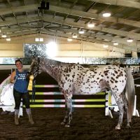 Neuse River Veterinary Hospital ico