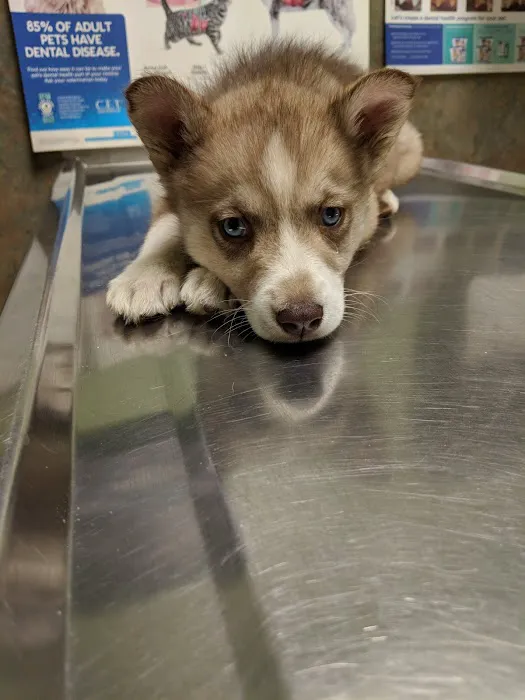 Neuse River Veterinary Hospital 4