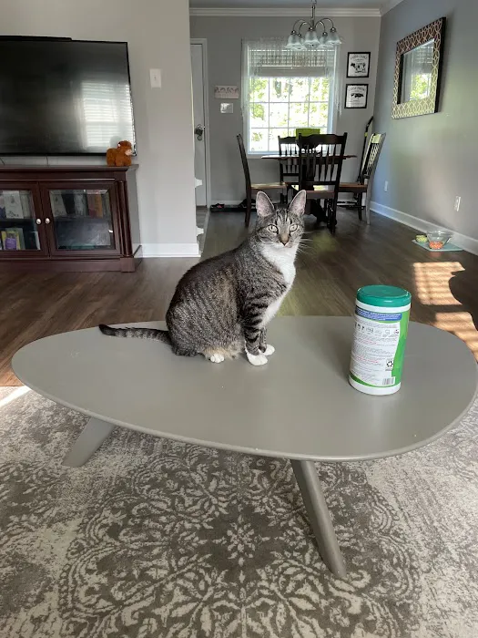 Capps Veterinary Clinic 12